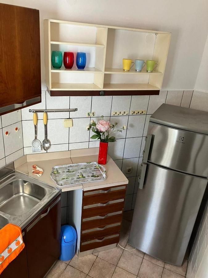 Vila Danica Apartment ซาโอสโตรก ภายนอก รูปภาพ